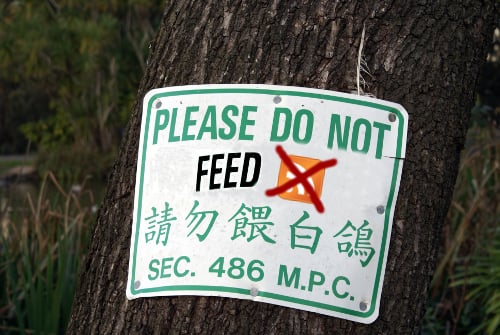 Please do not feed picture