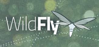 http://wildfly.org